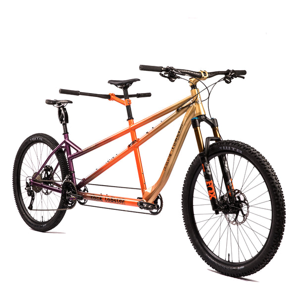 Custom tandem online bike