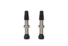 WTB TCS Tubeless-Ready Valve - 34mm Standard